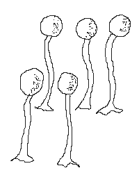 Fruktifikation