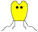 Myxoflagellatenpaar